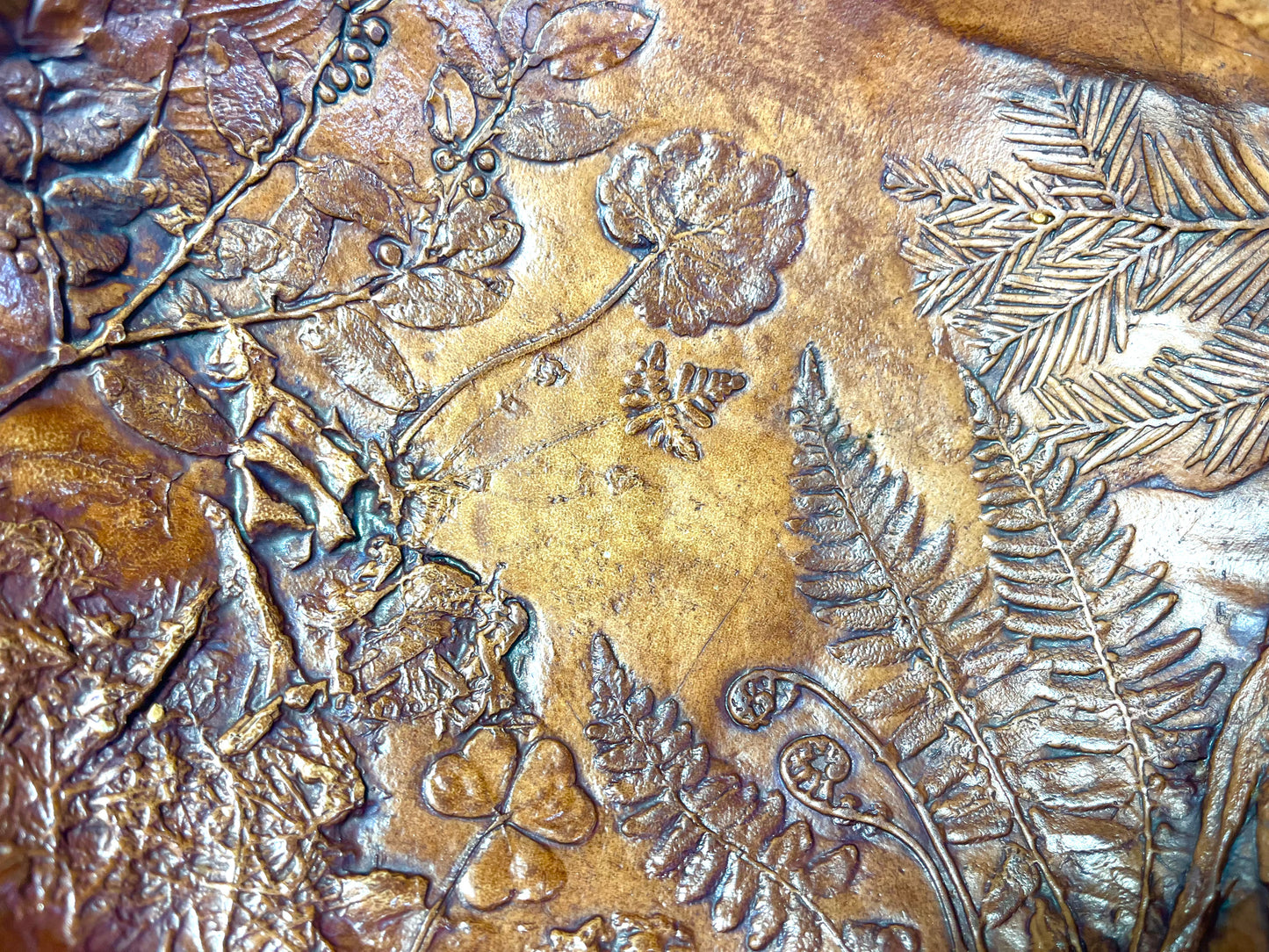 X - Serving Bowl: Old Growth Redwood Forest Flora in Winter