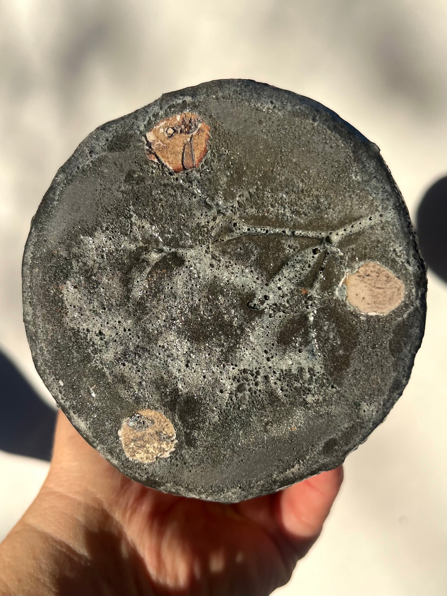 Grasses Imprint Tall Tumbler: Wild Rye and Other Pasture Plants