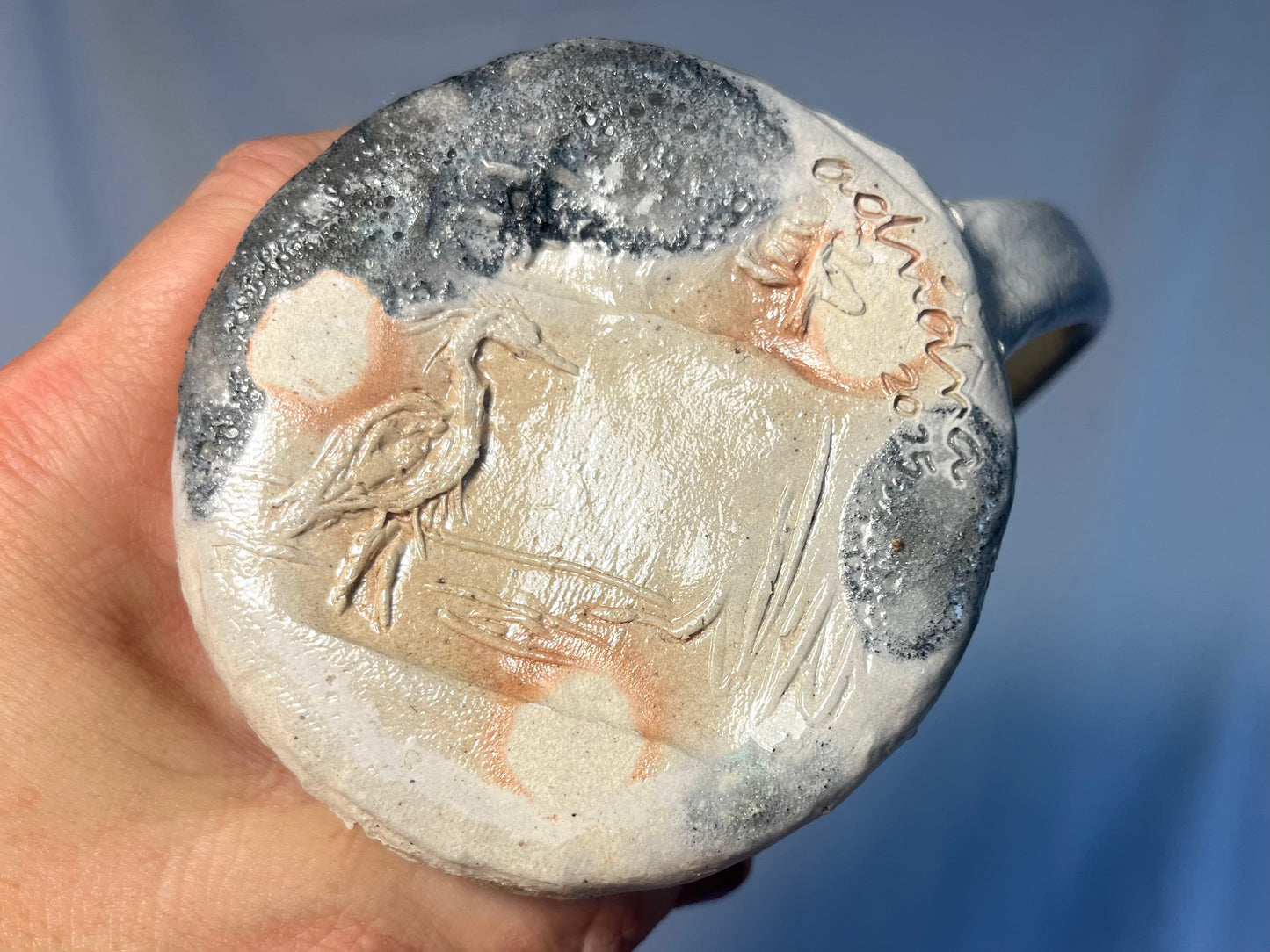 Storytelling Stein: Herons and Birds in Mendocino Coastal Forest