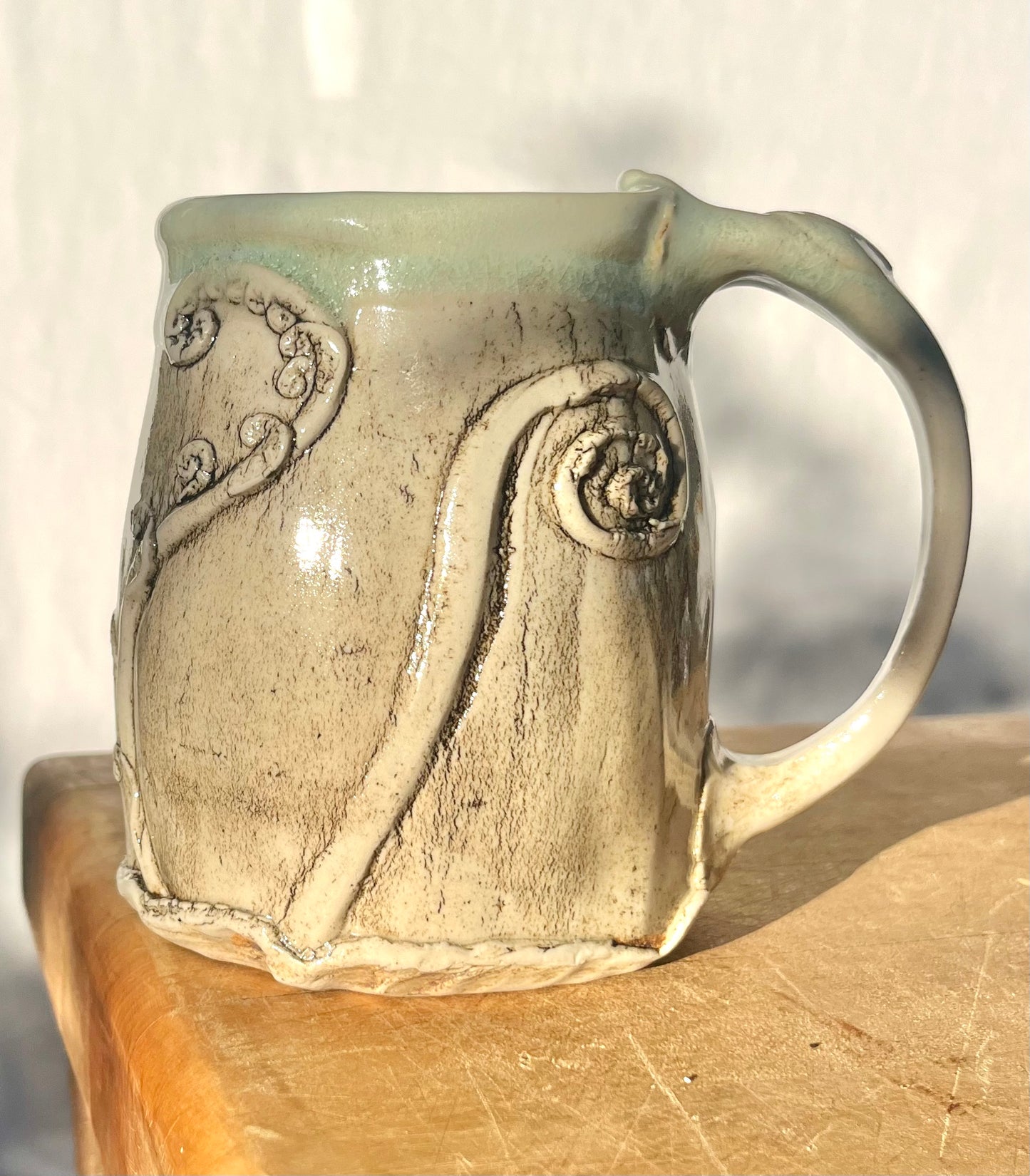 Nature Imprint Mug: Fiddle Head Ferns from a Redwood Forest