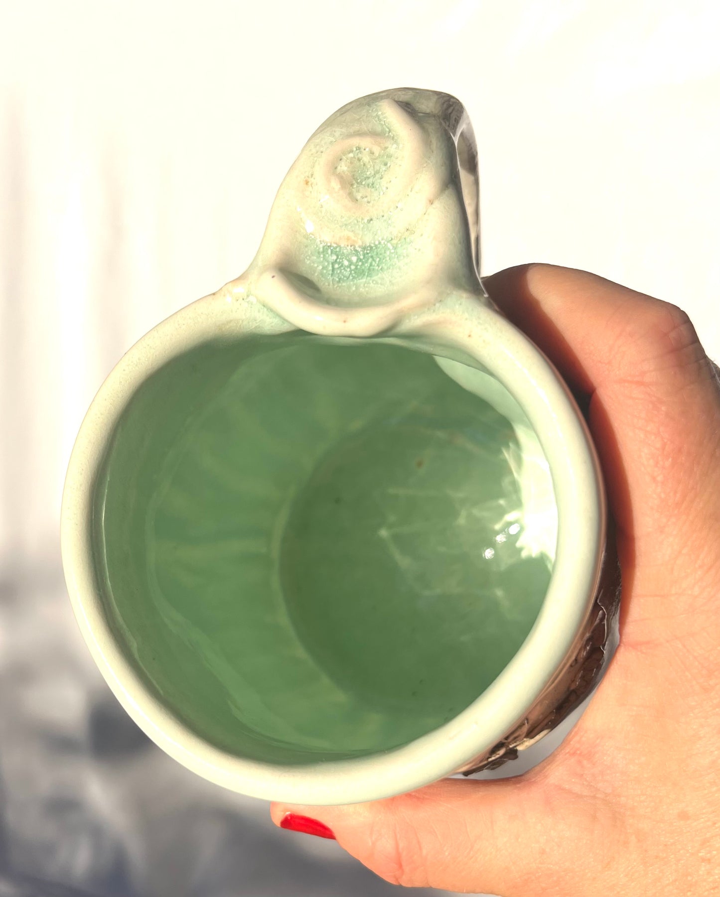 Nature Imprint Mug: Fiddle Head Ferns from a Redwood Forest