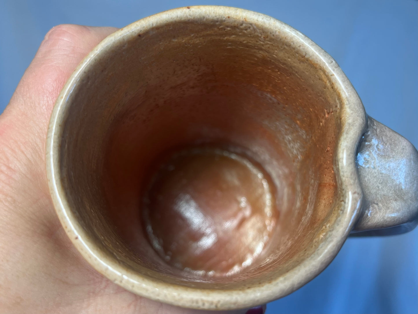 Storytelling Stein: Herons and Birds in Mendocino Coastal Forest