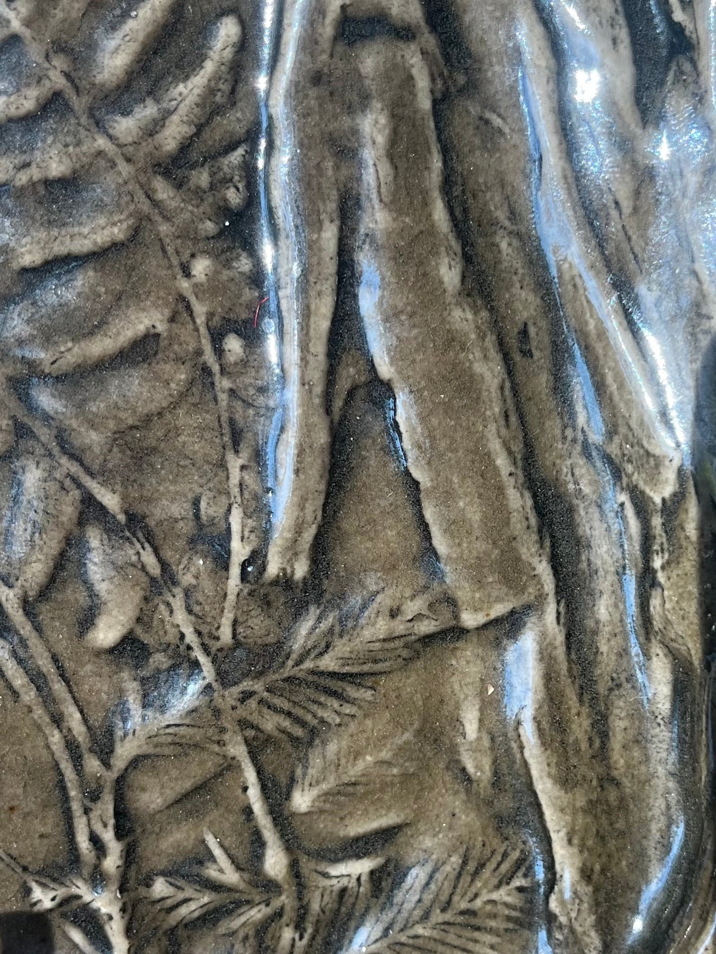 Old Growth Redwood Forest Flora Platter