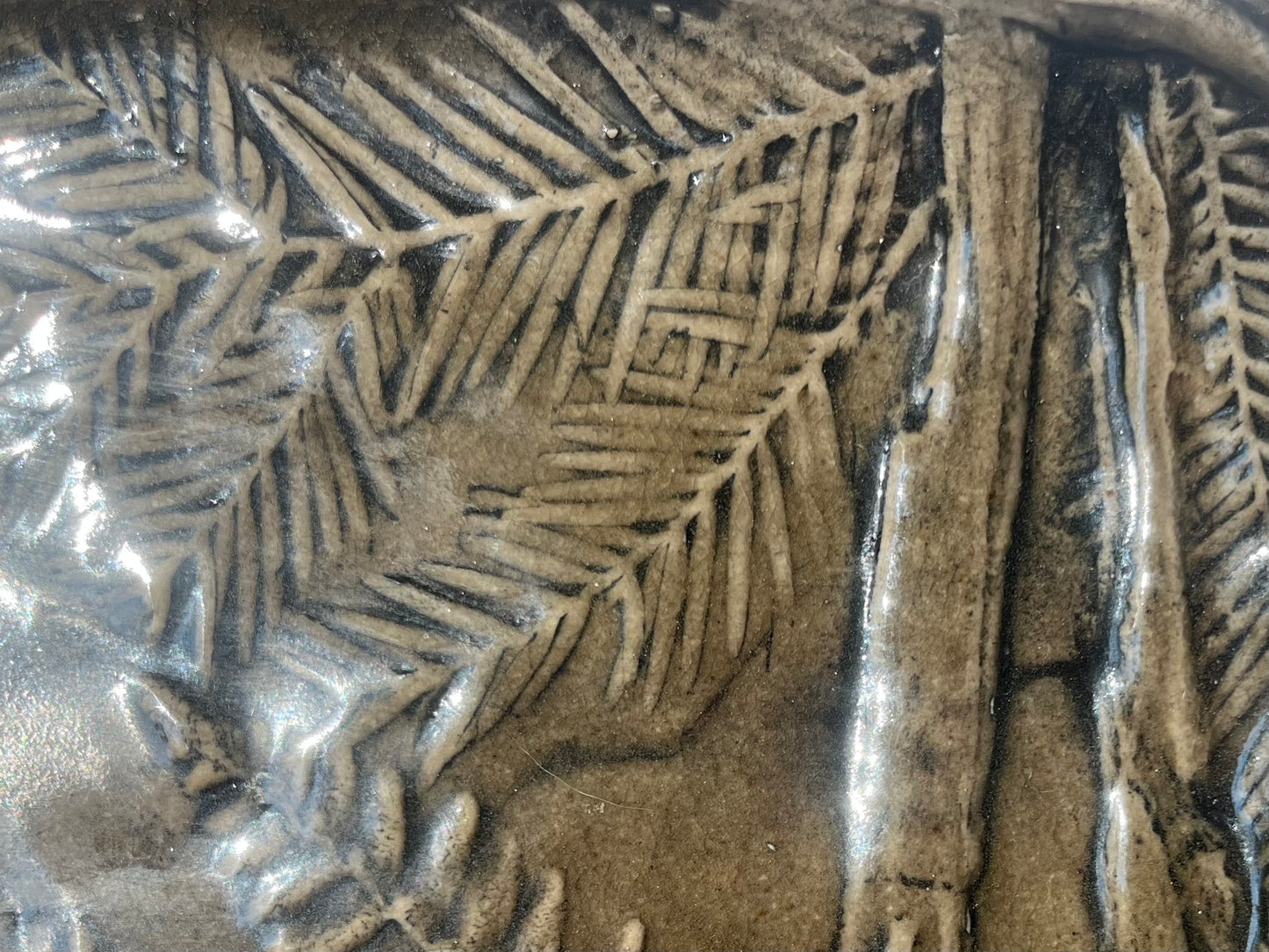 Old Growth Redwood Forest Flora Platter